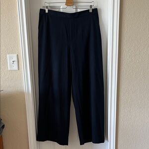 Banana Republic Navy Blue High-Rise Trousers Hayden Wide leg